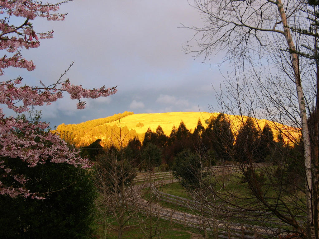 Whakaipo Lodge Taupo Eksteriør billede