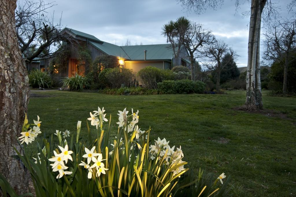 Whakaipo Lodge Taupo Eksteriør billede